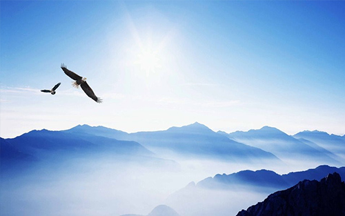 企業(yè)文化 企業(yè)文化